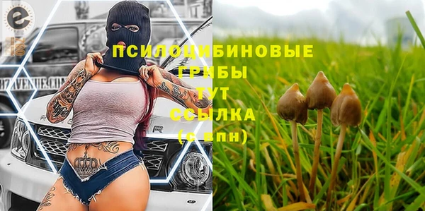 не бодяженный Балахна