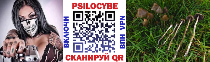 Галлюциногенные грибы прущие грибы  цена   Сибай 