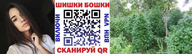 Конопля план  закладки  Сибай 